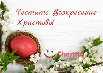 Картичка за Великден  червено яйце и бели цветчета на бял фон 