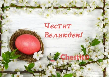 Картичка за Великден червено яйце в гнездо с цъфнало дърво на бял фон 