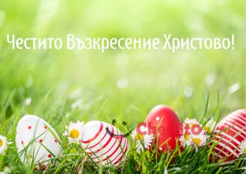 Картичка за Великден  шарени яйца на зелена поляна с маргаритки 