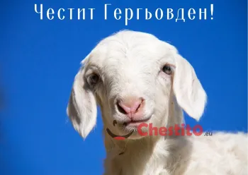 Картички за гергьовден сладко агънце на син фон 