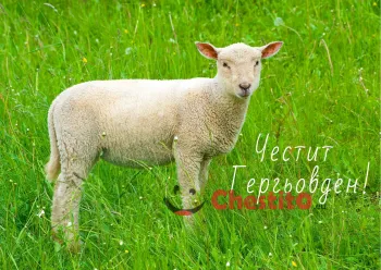 Картички за гергьовден агне на зелена поляна 