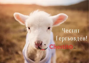 Картички за гергьовден профилна снимка на сладко агънце 