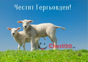 Картички за гергьовден две агнета на зелена поляна