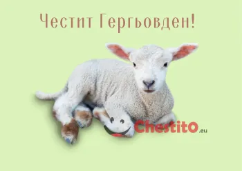 Картички за гергьовден бяло агне на зелен фон 