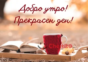 Картичка за добро утро червена чаша за кафе книга на поднос навън 