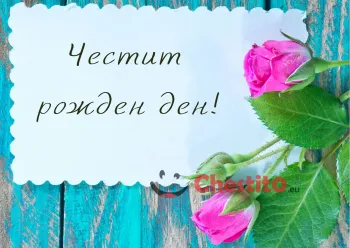 Картичка за рожден ден лилави рози и писмо