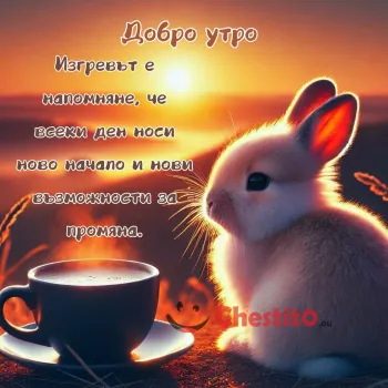 Зайче и кафе на изгрев с послание за добро утро