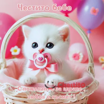 Картичка с коте в кошница и биберон на розов празничен фон.