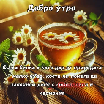 чай, лайка и пожелние за деня