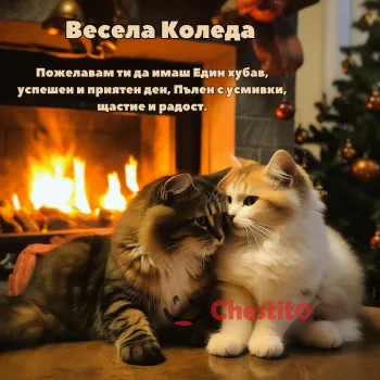 Картичка за Коледа  Котки пред камина 