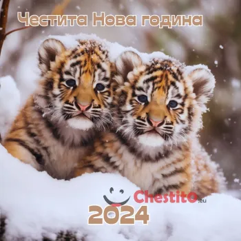 Картичка за Нова година две тигърчета в снега 