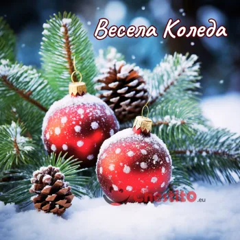 Картичка за Коледа  шишарки, борови клонки и украса на сняг 