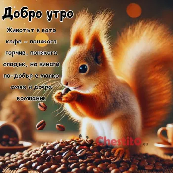 Катеричка , която събира кафе и посление за добро утро