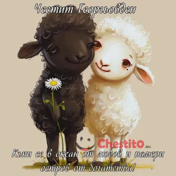 Две сладки овце , мъжко и женско с цвете и пожелание