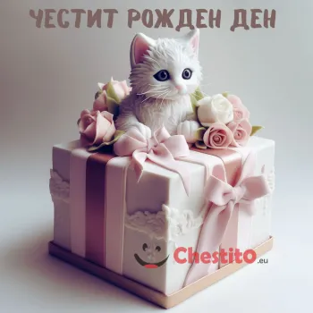 Картичка за рожден ден  торта подарък с коте 